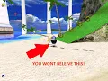 Stale Reference Code Execution in Sonic Adventure