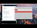 Programming Loops in Processing
