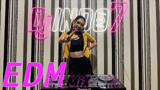 Download DJ FOR THE BIRD - EDM DUTCH HOUSE VIRAL - DJ LEDYSTA MP3