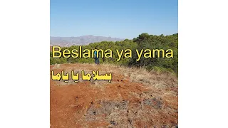                 بسلاما يا ياما دندنها