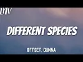 Download Lagu Offset, Gunna - Different Species (Lyrics)