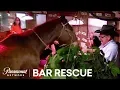 Bar Rescue A Horse s Bar