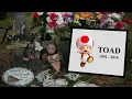 Toad Dies in a car accident while jamming out to Mariah Carey - car safety PSA high school project