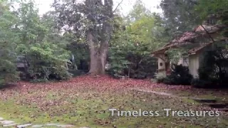 Timeless Treasures - Auntie Belhams Cabin Rentals