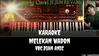 Download MELEKAN WADON KARAOKE - DIAN ANIK MP3