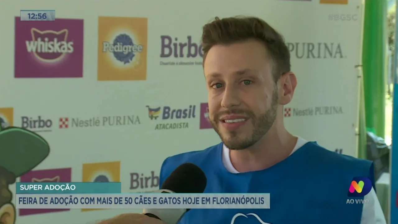 Feira de adoção com mais de 50 cães e gatos neste sábado em Florianópolis