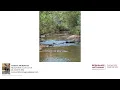 Dothan Real Estate Lot 62 Myrtle Street Level Plains AL 36322 30 000