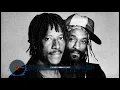 Dub Syndicate - Stoned Immaculate (2 versions) #reggae  #dub