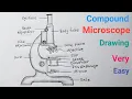 How to Draw Compound Microscope Easy Step Microscope Drawing With Label