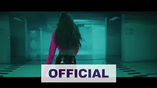 DJ Groove & Alexander Popov & Chris Willis - Without Your Love (Van Snyder Remix) (Official Video)