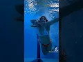 Lagu Girl Underwater Dive TikTok Transition (new bikini bottom)