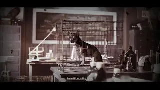 ويجز WEGZ بتمشى فى الزمن محشي طاقة وعندي امل حالة واتس 