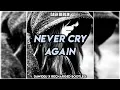 Download Lagu Dash Berlin - Never Cry Again (DawidDJ x ReCharged Bootleg)