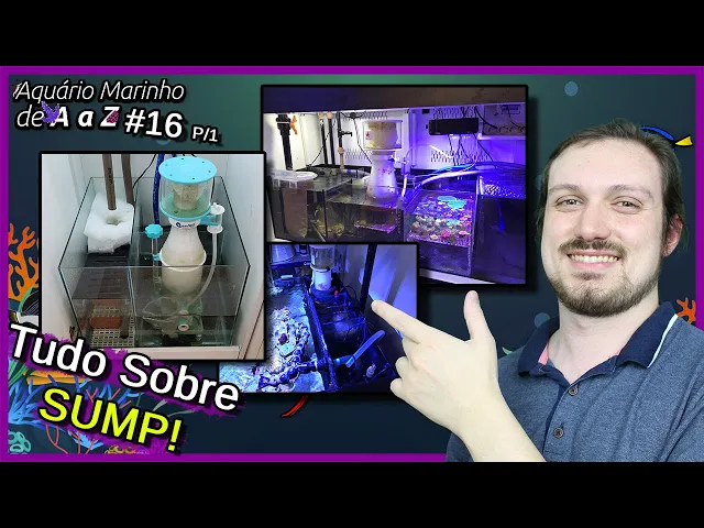 TUDO sobre SUMP! - Externo, Traseiro, Hang On e Outros - Aquário Marinho de A a Z #16 P1
