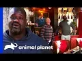 Shaq s Treetop Speakeasy Is Absolutely Jaw-dropping Treehouse Masters