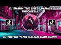 DJ SHAUN THE SHEEP BAHASA INDONESIA || DJ TIKTOK TERBARU 2022 || WANGKAR WK