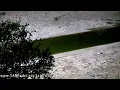 Download Lagu SANParks Satara Video Stream