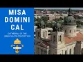 17th Sunday in Ordinary Time - Spanish Mass