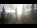 741Hz Removes Toxins and Negativity ! Spiritual Awakening ! Full Body Detox ! Healing Frequency