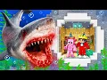 Download Lagu I Built a SECRET UNDERWATER House to Hide From a MEGALODON SHARK!