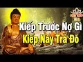 Download Lagu Kiếp Trước Nợ Gì Kiếp Này Trả Đó -  Phật Dạy Nhân Quả Báo Ứng Không Trừ Một Ai #mới nhất