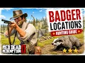 The BEST Badger Locations in RDR2