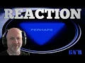 Download Lagu Guns 'n' Roses - Perhaps REACTION