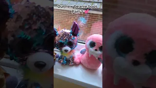 Our cutesy little beanie boos haul
