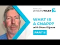 What Is a Cloud-Native Application Protection Platform Cnapp How CNAPPs Secure the Cloud