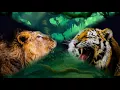 Catchy Thai Love Song - Koo Gud by Bird Thongchai เพลง คู่กัด - เบิร์ด ธงไชย