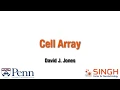 08 - Cell Array LayoutEditor Training