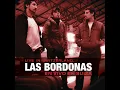 La serenata de ayer