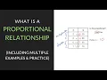 What is a Proportional Relationship 7th Grade Mathcation com