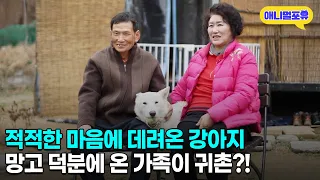 입양한 강아지가 보고 싶어서 결국 모여 살게 됐다는 가족 | KBS 동물극장 단짝 230415 방송