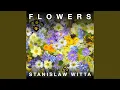 Download Lagu Mimosa