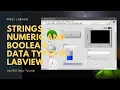 String Numeric and Boolean Data types Overview in LabVIEW