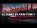 Download Lagu DJ DUMES BY PANI FVNKY VIRAL TIKTOK MENGKANE