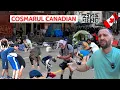Download Lagu Coșmarul CANADIAN: Agresat de MAFIE | Degradarea UMANITĂȚII | Realitatea ASCUNSĂ, ce nu vezi la TV