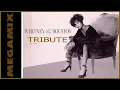 Lagu Whitney Houston Tribute Megamix (by Felix)