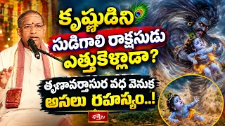 కృష్ణుడిని సుడిగాలి రాక్షసుడు ఎత్తుకెళ్లాడా? తృణావర్తాసుర వధ వెనుక అసలు రహస్యం..! | Bhakthi TV