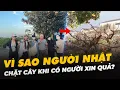 Download Lagu VÌ SAO NGƯỜI NHẬT CHẶT CÂY KHI CÓ NGƯỜI XIN QUẢ?