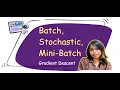 Batch vs Stochastic vs Mini-Batch Gradient Descent Visual Guide