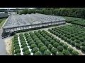 CULTA Cannabis Farm Drone Reel 2023 in Cambridge Maryland