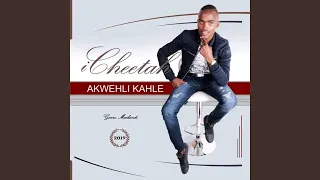 ayikho ingqongqo
