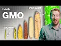 Download Lagu GMOs - How Bad Are They?