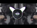Download Lagu CUIDADO COM A LAPADA TOMA TOMA (perro brasileño) (Bass Boosted)