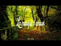 Nico & Vinz - When The Day Comes