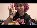 Daily Vlog 4