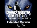 David Guetta feat. Sia - She Wolf (Falling To Pieces) (Extended Version) | HD