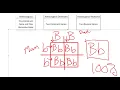 Punnett Squares
